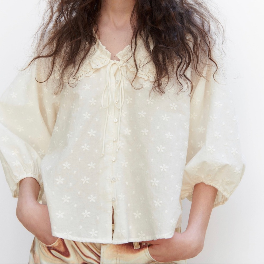 Zara EMBROIDERED PETER PAN COLLAR BLOUSE
